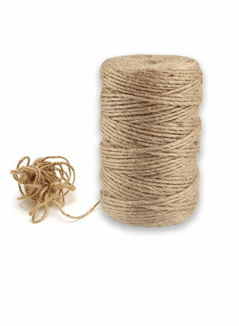 Natural Jute Rope-Jute Rope, Durable Heavy Craft Rope-Used For Plants, Gift Packaging, Art Decoration, Packaging Rope Home Decoration (Diameter 2mm, Length 100m)