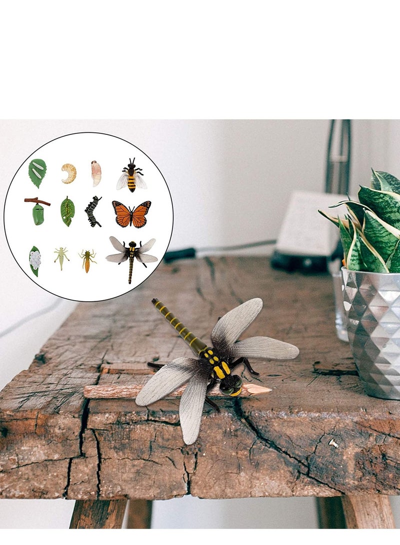 12PCS Insect Figurines Life Cycle of a Butterfly Dragonfly Bee, Safariology Growth Model Bug, Figures Educational Toy for Kids Toddlers