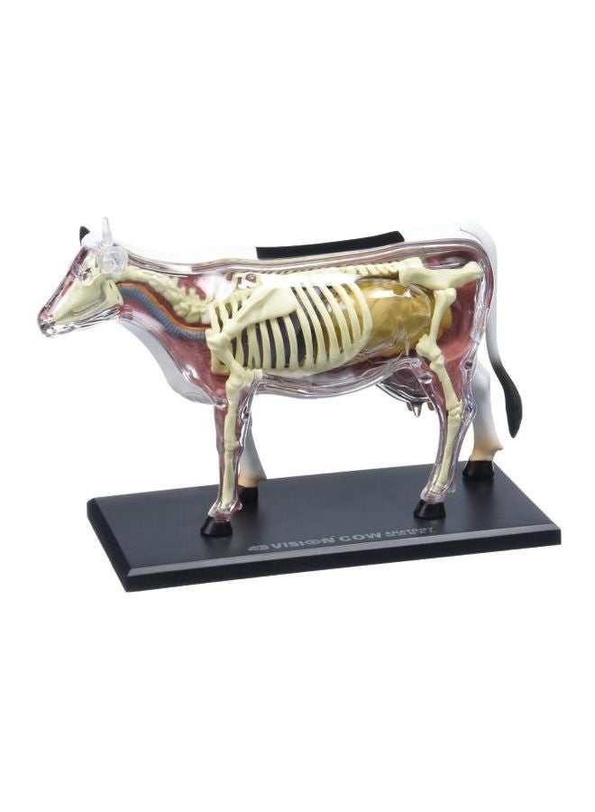 4D Vision Cow Model 6.5inch