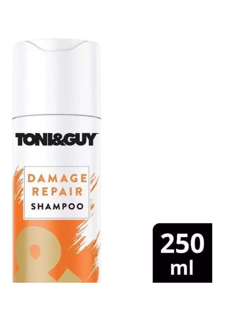 TONI and GUY Cleanse Shampoo for Damaged Hair 250ml