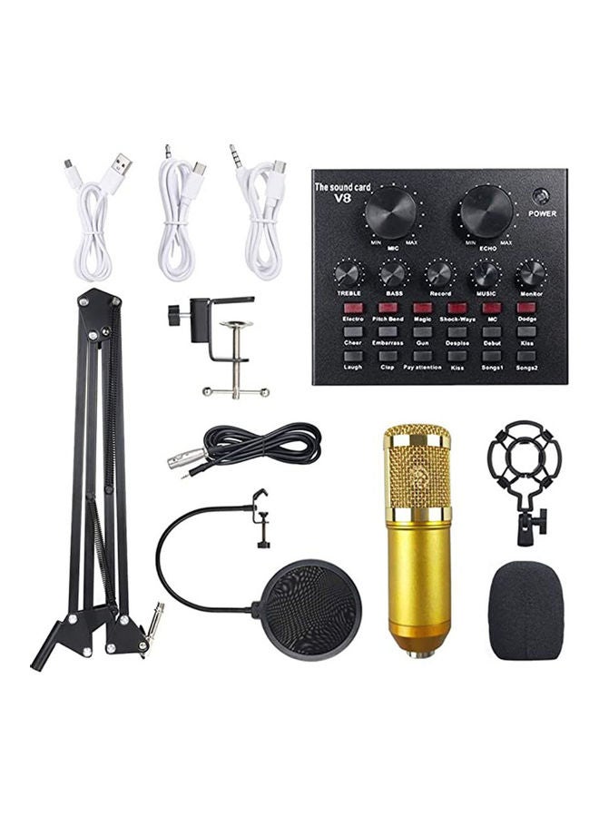13-Piece Sound Card Professional Studio Broadcasting Microphone Set ANY0060 Multicolour