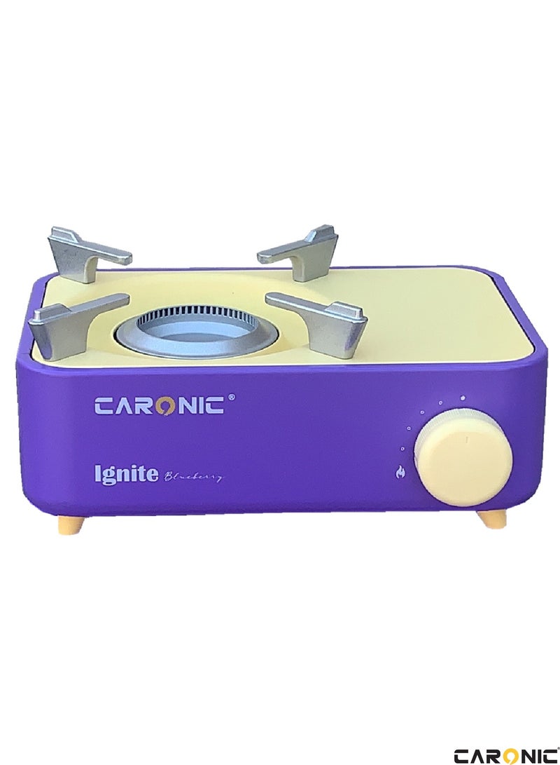 Portable Camping Gas Stove Double Burner Outdoor Automatic Ignition System Enamel Pan Support Purple