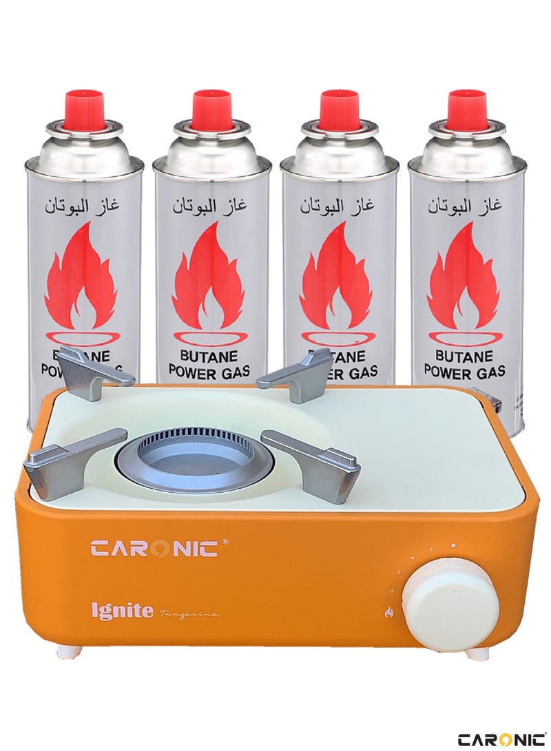 Portable Camping Gas Stove Double Burner Outdoor Automatic Ignition System Enamel Pan Support With 4 Portable Gas