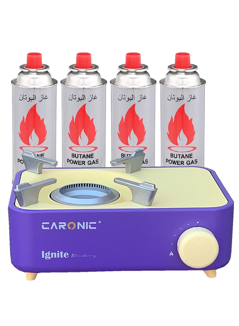Portable Camping Gas Stove Double Burner Outdoor Automatic Ignition System Enamel Pan Support With 4 Portable Gas