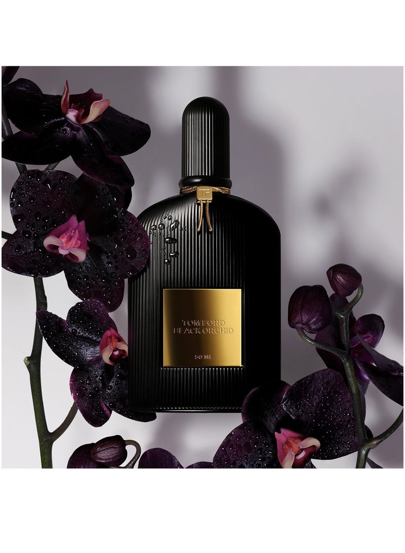 Black Orchid EDP 50ml