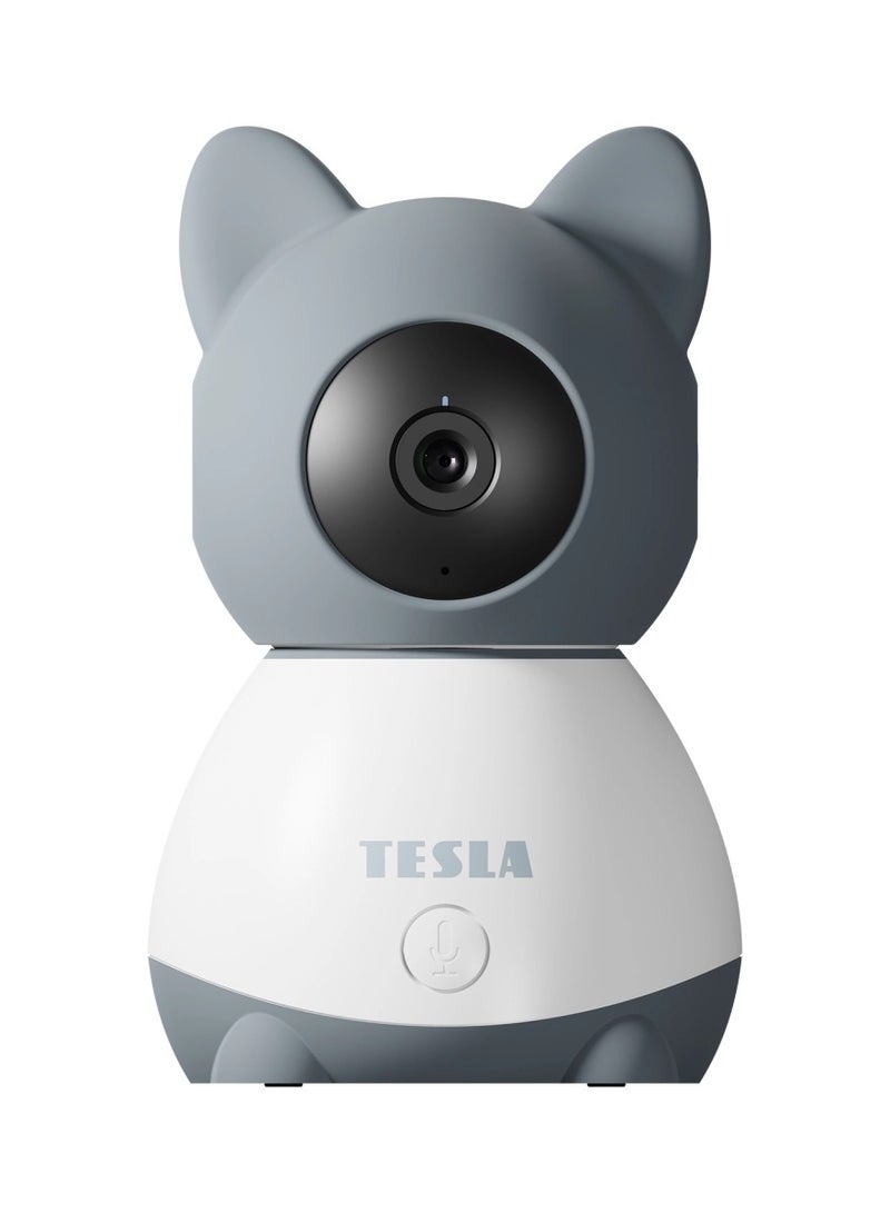 Smart Camera B250 works with Google Alexa  Tesla Home App