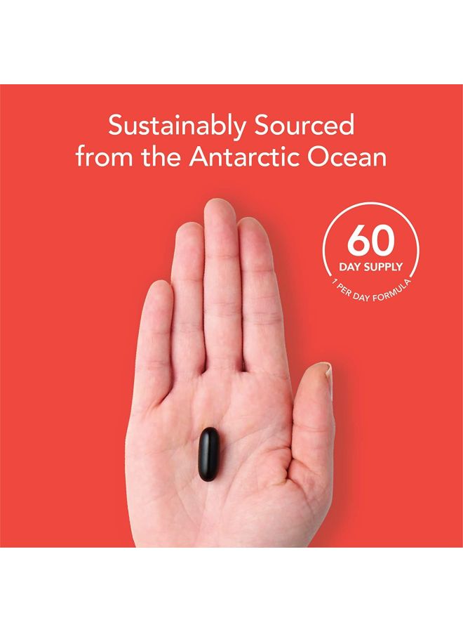 Antarctic Krill Oil Dietary Supplement - 60 Softgels