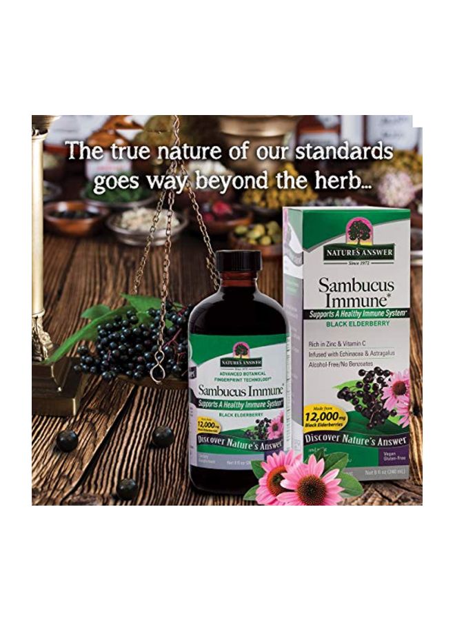 Ambucus Dietary Supplement, Original For Daily Immune And Antioxidant Support 4 Fl Oz