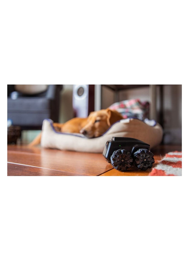 Moorebot Scout - Tiny AI-Powered Smart Camera Mobile Robot for Monitoring, Work with Alexa and Google Home, 1080P, Human and Pets Recognition, FWD Mecanum Wheels, Auto Patrol and Docking, Night Vision