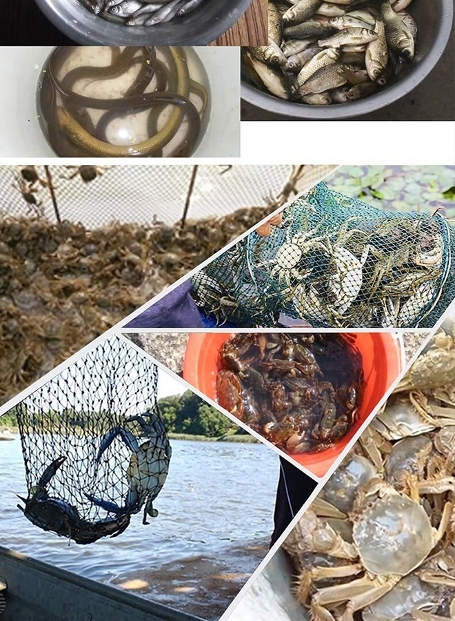 Fishing Net Trap Portable Folding Collapsible Crab Network Immersion Bait Shrimp Crayfish Cage Tiddler Trap Mesh Automatic 8 Holes--Green