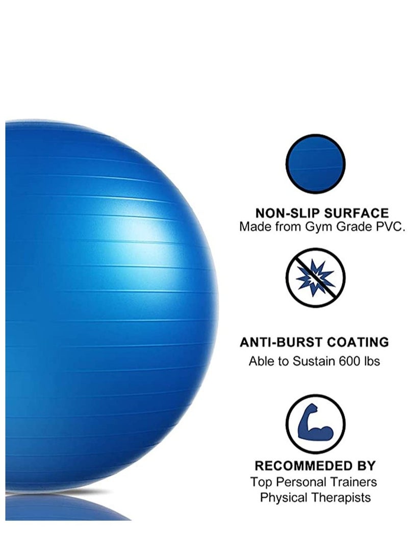 Ball 45cm with Quick Foot Pump Professional Grade Anti Burst Slip Resistant Stability Balance Ball for Yoga Workout Office Classroom Work Chair