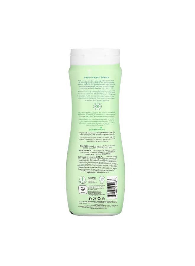 Super Leaves Science Shampoo Nourishing And Strengthening Grape Seed Oil And Olive Leaves 16 oz 473 ml