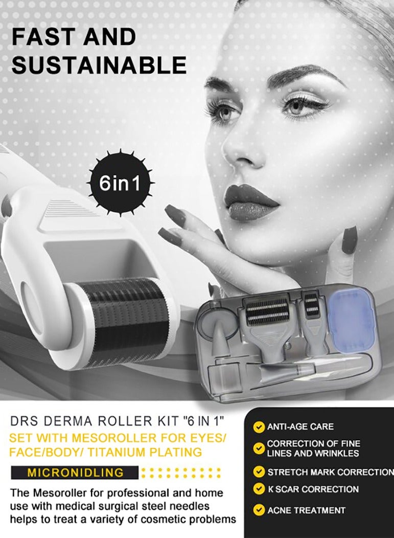 Dr.pen Derma Roller Kit for Face and Body - 0.25mm Microneedle Roller Titanium for Men and Women Skin Care, Microneedle Dermaroller with 5 Replaceable Heads and Storage Case