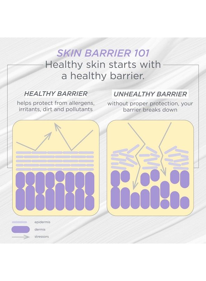 Beauty 100% Vegan Ceramide Barrier Repair Under Eye Cream For Fine Lines Eczema Association Approved Safe For Sensitive Skin For Delicate Undereye Area Fragrance Free 05 Fl Oz