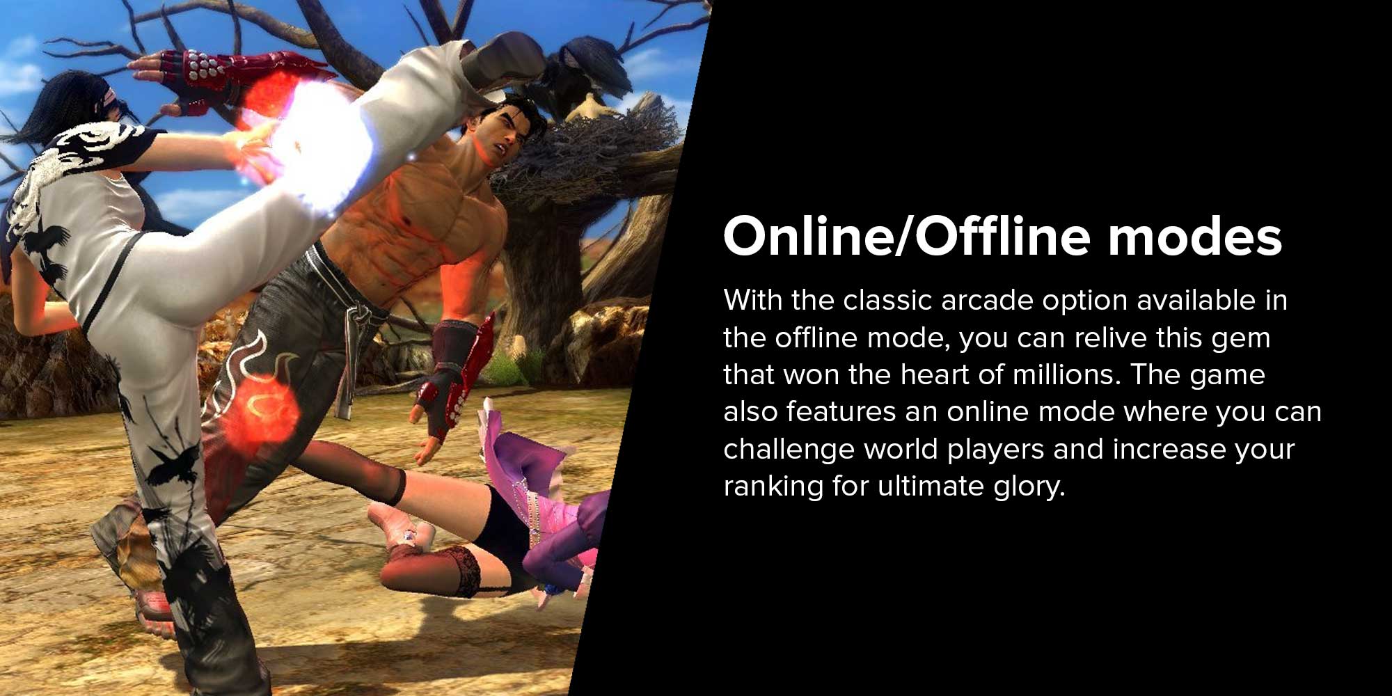 Tekken Tag Tournament 2 - (Intl Version) - Fighting - PlayStation 3 (PS3)