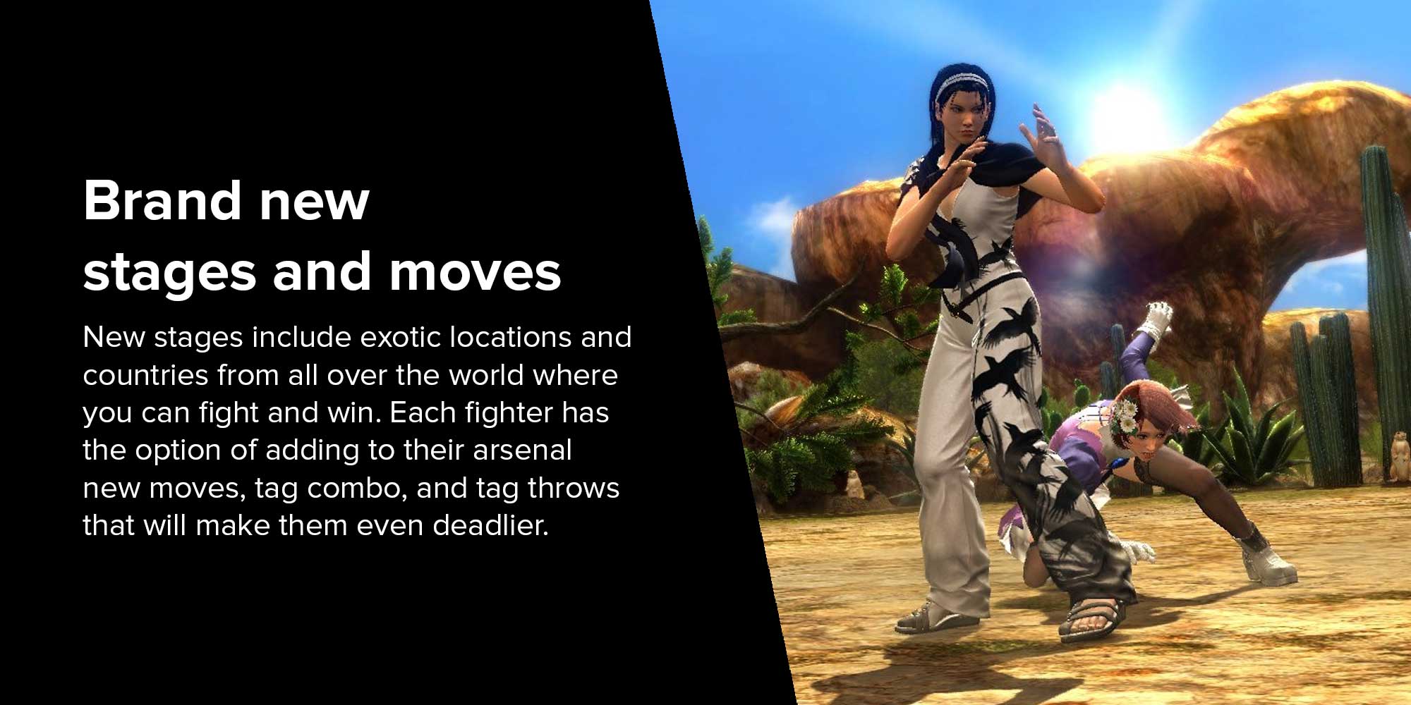 Tekken Tag Tournament 2 - (Intl Version) - Fighting - PlayStation 3 (PS3)