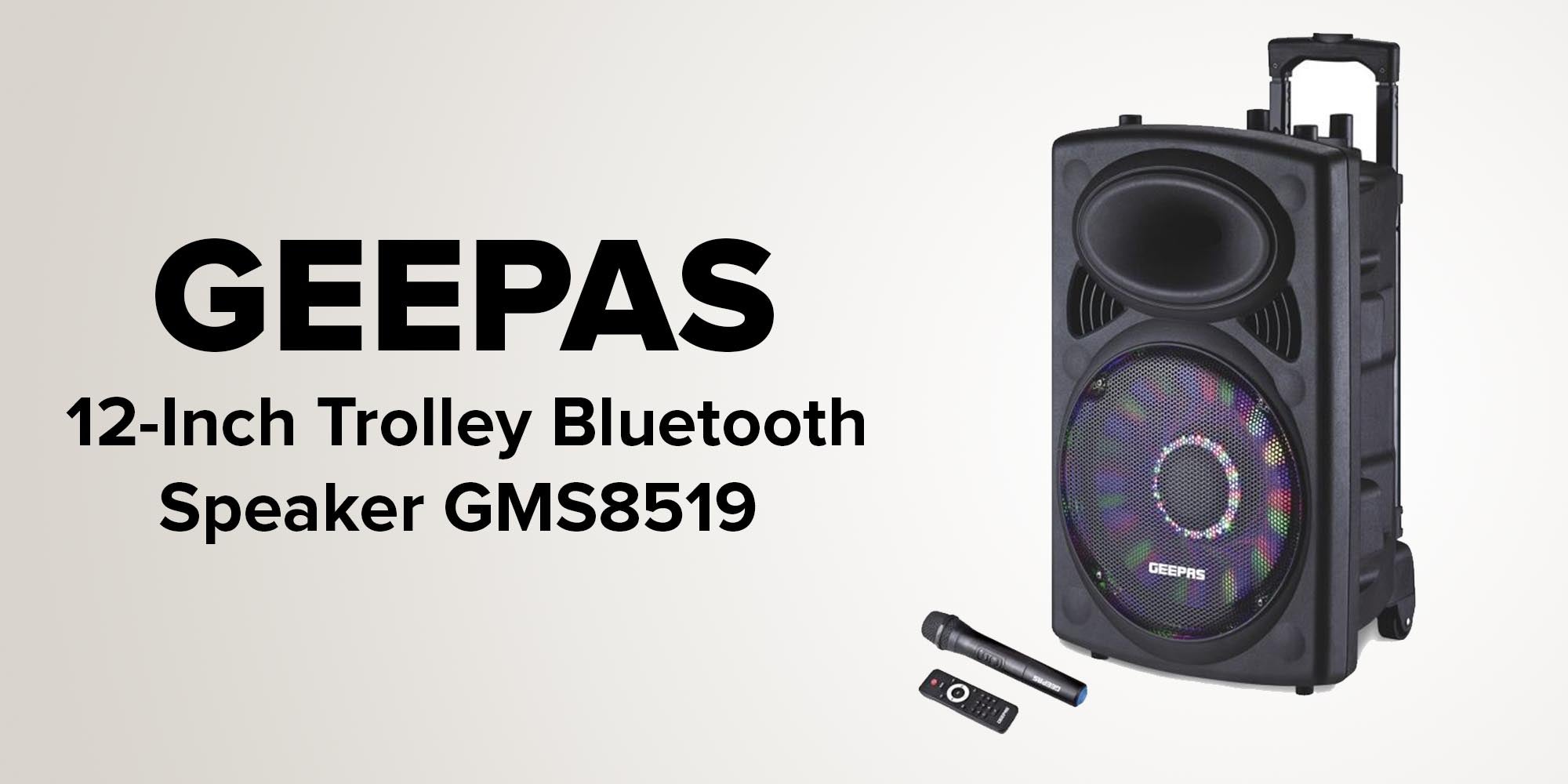 Rechargeable Portable Trolley Speaker System With USB/Bluetooth/SD Card Slots/FM Radio GMS8519 Black