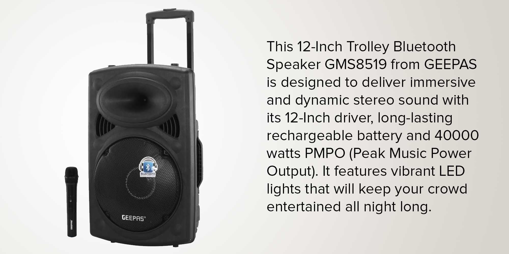 Rechargeable Portable Trolley Speaker System With USB/Bluetooth/SD Card Slots/FM Radio GMS8519 Black
