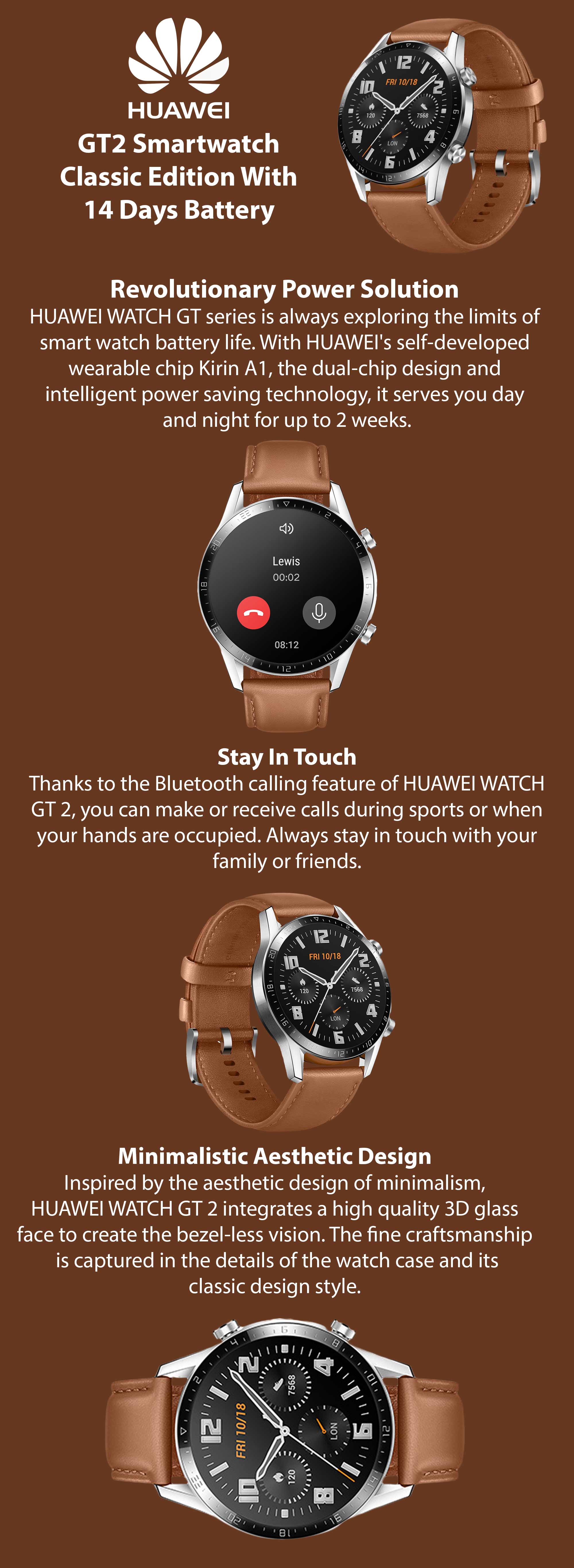 GT2 Smartwatch  Classic Edition With 14 Days Battery 46mm Pebble Brown