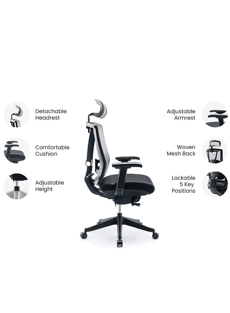 HALO Chair Premium Ergonomic Gaming & Office Chair with Multi Adjustable Features by Navodesk (Pure Black)