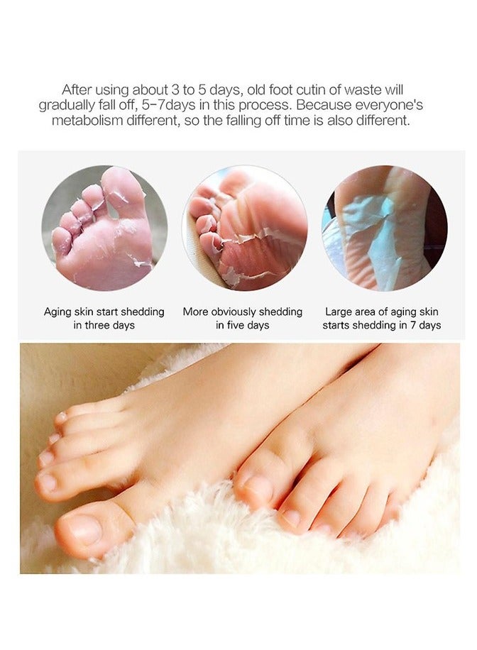 6 Pcs Combo Aloe Vera - Lavender - Peeling and Exfoliating Foot Mask Sock