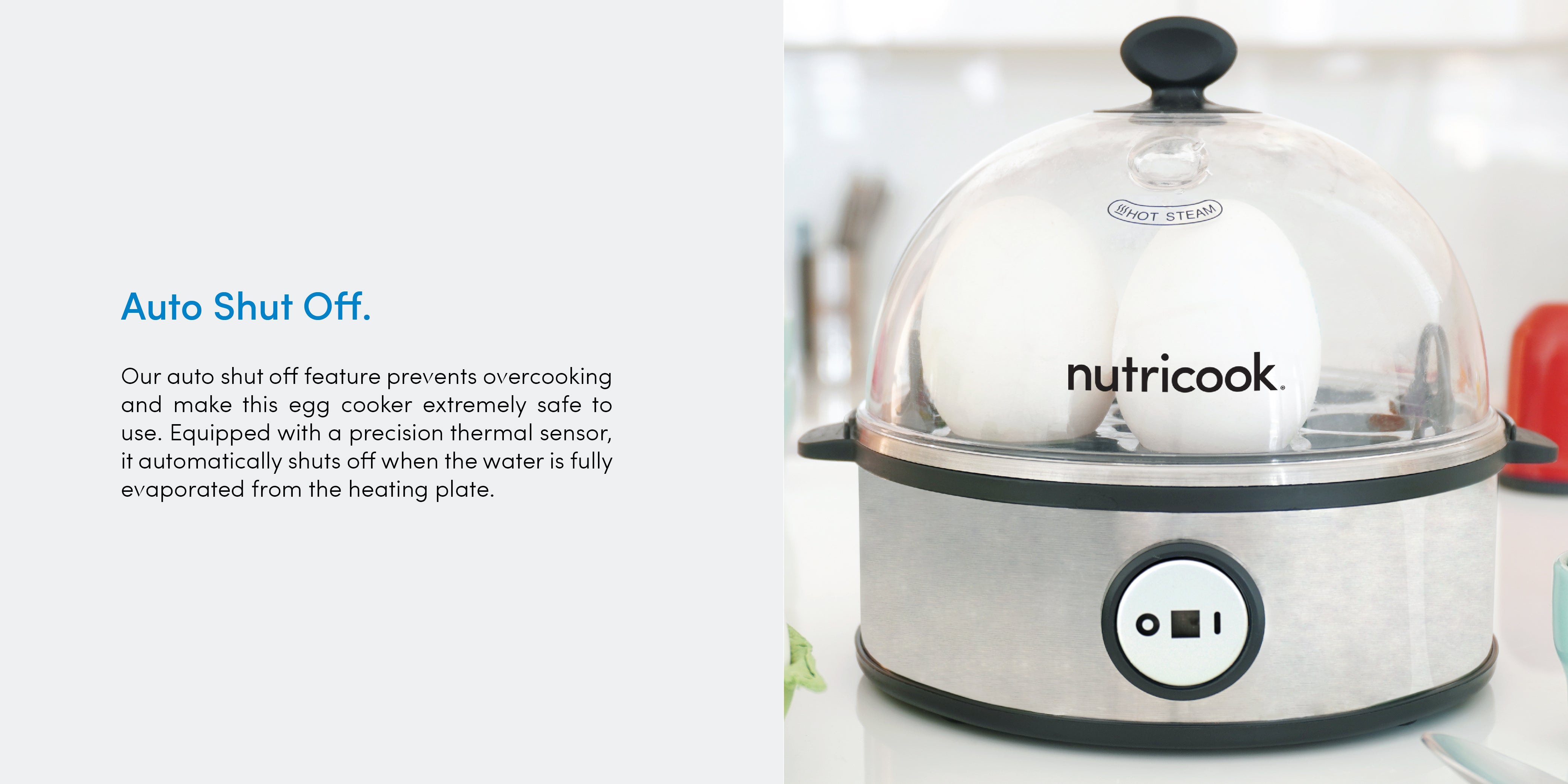 Rapid Egg Cooker 360 W NC-EC360 Silver