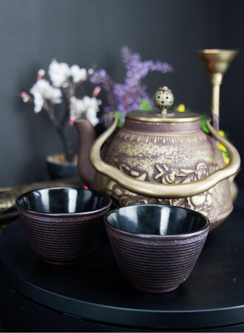 Durable Coated with Enamel Interior Cast Iron Teapot with Stainless Steel Infuser for Brewing Loose Tea Leaf 1.1 Liter (Red-Brown) w/ 2 cups