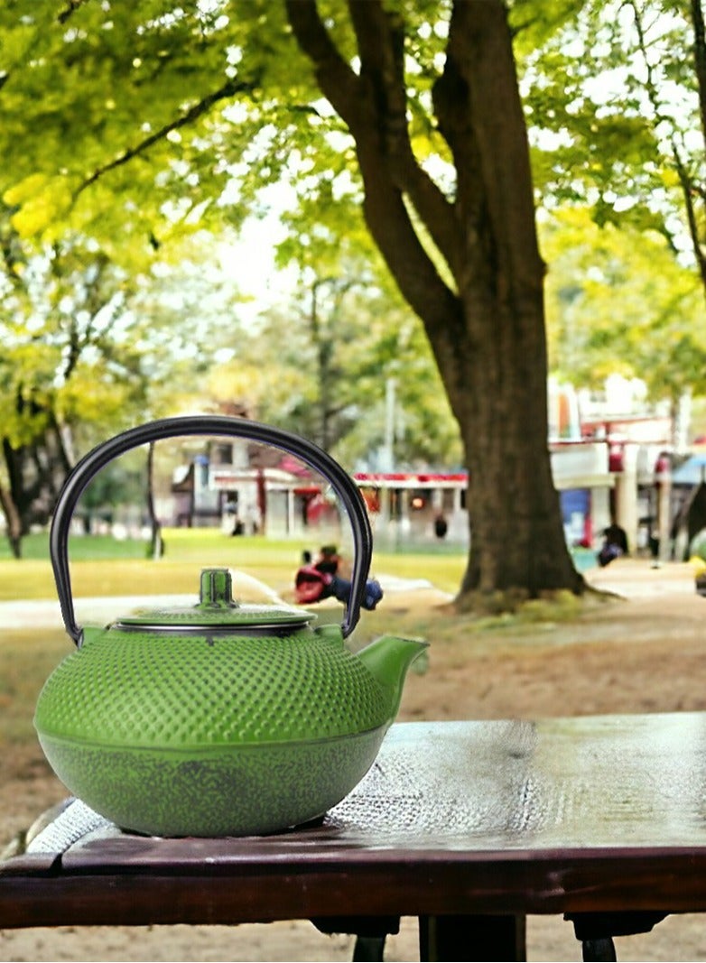 Durable Coated with Enamel Interior Cast Iron Teapot with Stainless Steel Infuser for Brewing Loose Tea Leaf 1.4 Green
