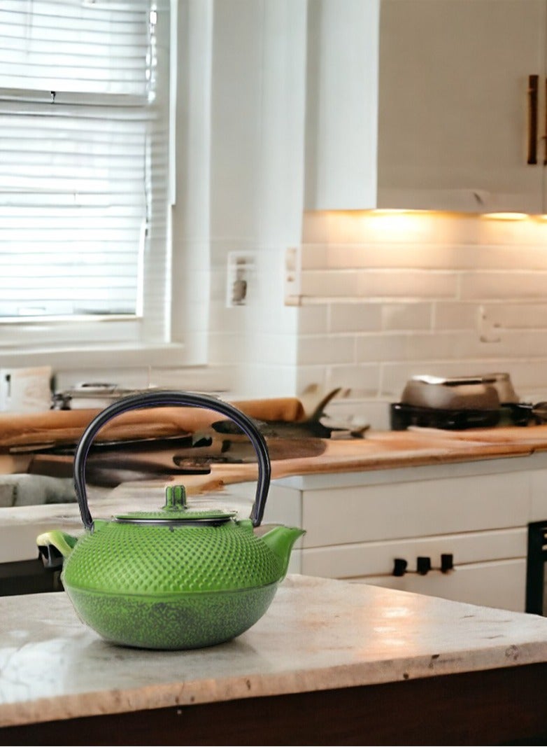 Durable Coated with Enamel Interior Cast Iron Teapot with Stainless Steel Infuser for Brewing Loose Tea Leaf 1.4 Green