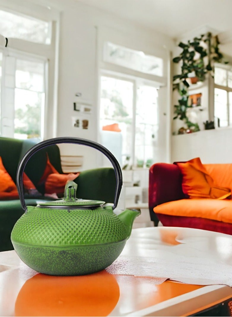 Durable Coated with Enamel Interior Cast Iron Teapot with Stainless Steel Infuser for Brewing Loose Tea Leaf 1.4 Green