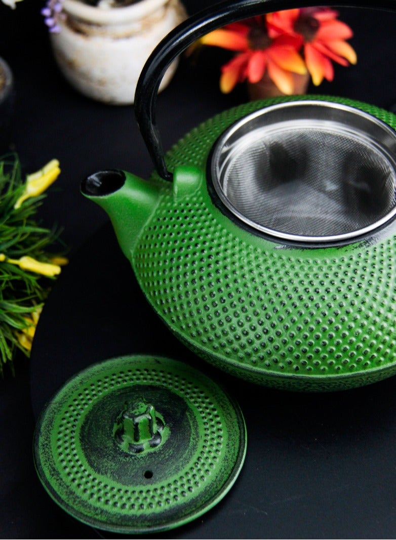 Durable Coated with Enamel Interior Cast Iron Teapot with Stainless Steel Infuser for Brewing Loose Tea Leaf 1.4 Green