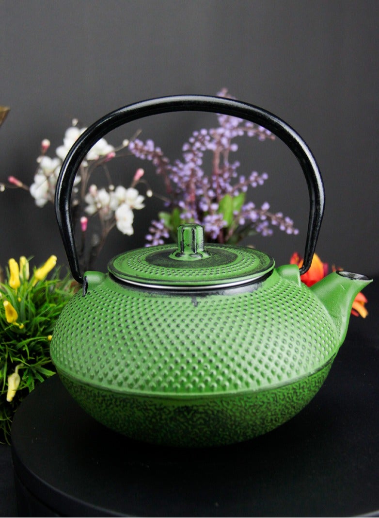 Durable Coated with Enamel Interior Cast Iron Teapot with Stainless Steel Infuser for Brewing Loose Tea Leaf 1.4 Green