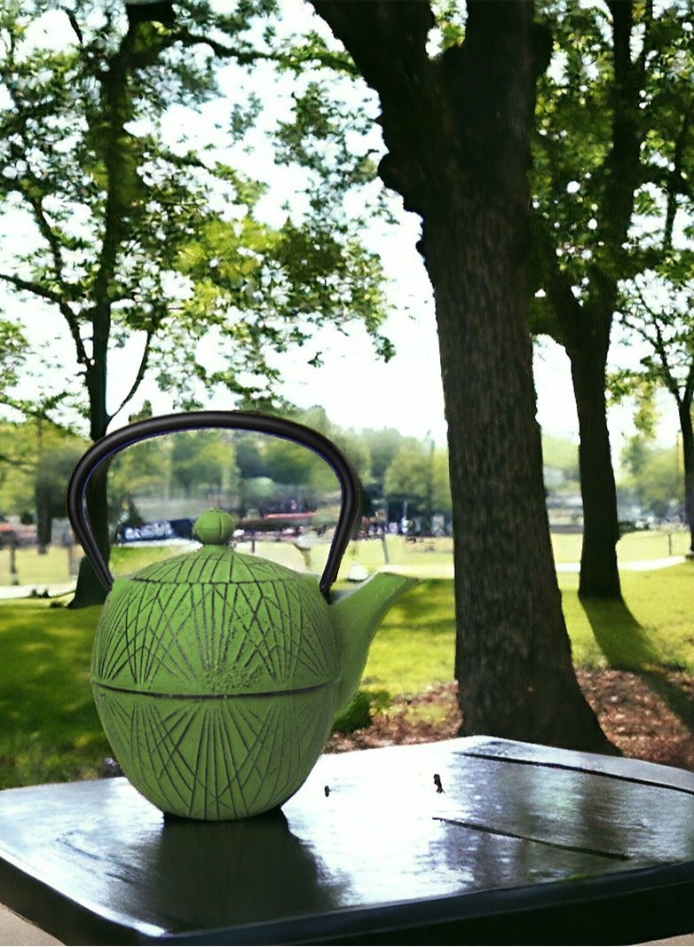 Elevate Your Tea Experience Green 1.1L Cast Iron Teapot with Enamel Coating