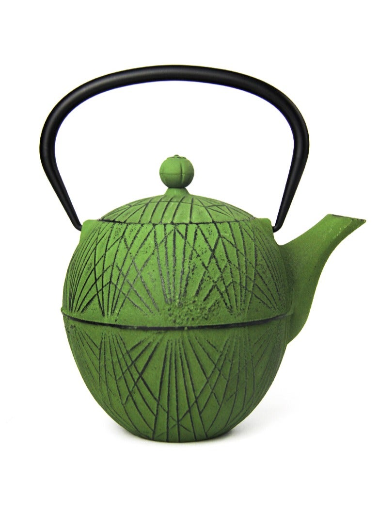 Elevate Your Tea Experience Green 1.1L Cast Iron Teapot with Enamel Coating