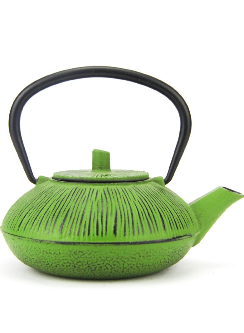 Durable Coated with Enamel Interior Cast Iron Teapot with Stainless Steel Infuser for Brewing Loose Tea Leaf 0.5 Liter Green