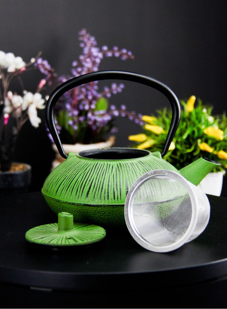 Durable Coated with Enamel Interior Cast Iron Teapot with Stainless Steel Infuser for Brewing Loose Tea Leaf 0.5 Liter Green