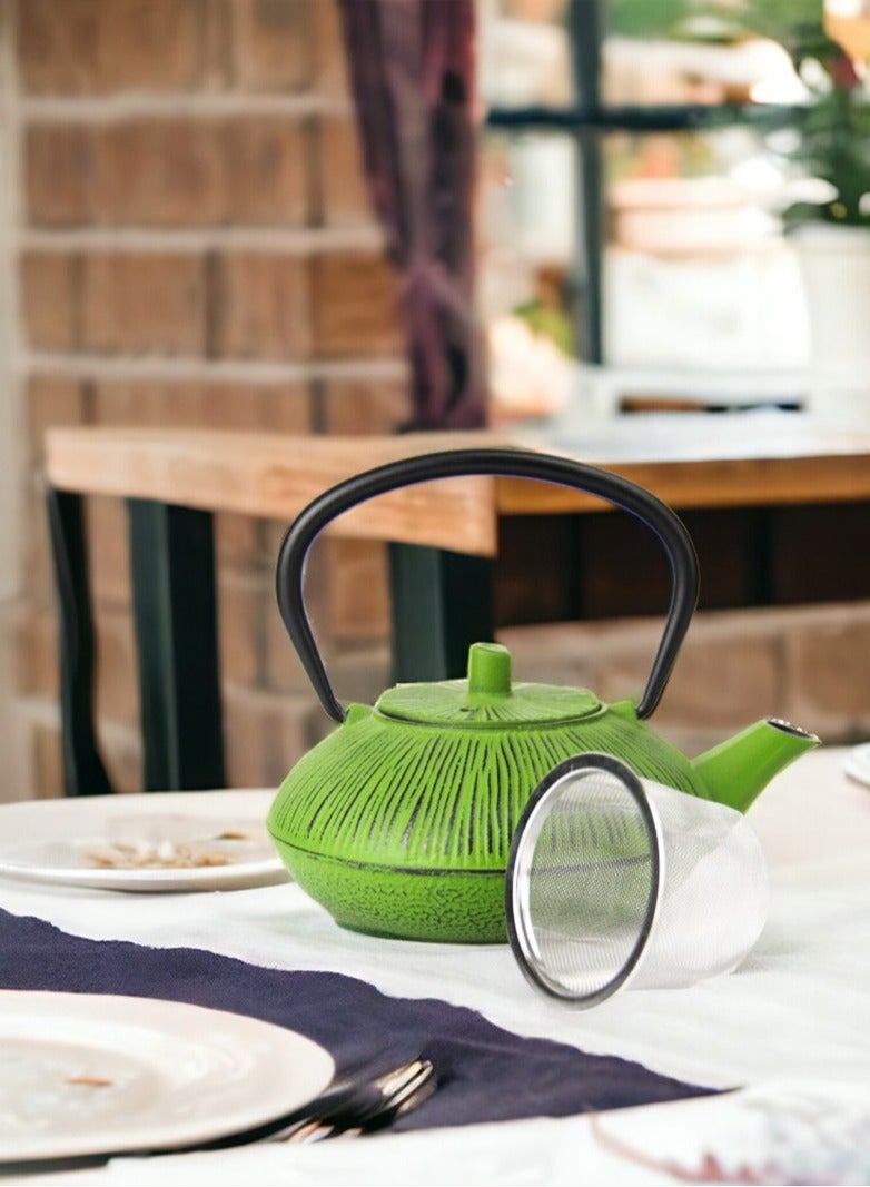 Durable Coated with Enamel Interior Cast Iron Teapot with Stainless Steel Infuser for Brewing Loose Tea Leaf 0.5 Liter Green