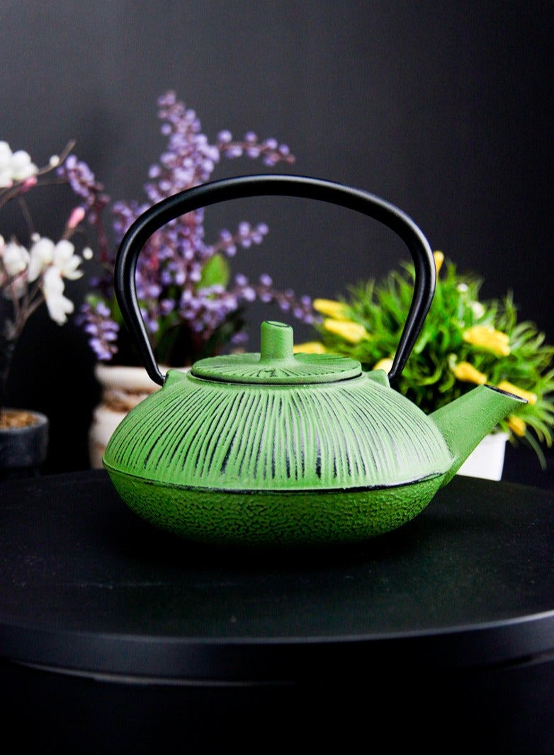 Durable Coated with Enamel Interior Cast Iron Teapot with Stainless Steel Infuser for Brewing Loose Tea Leaf 0.5 Liter Green