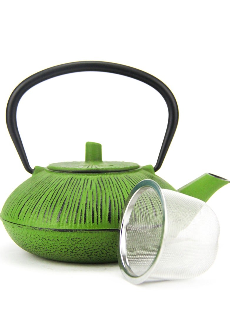 Durable Coated with Enamel Interior Cast Iron Teapot with Stainless Steel Infuser for Brewing Loose Tea Leaf 0.5 Liter Green