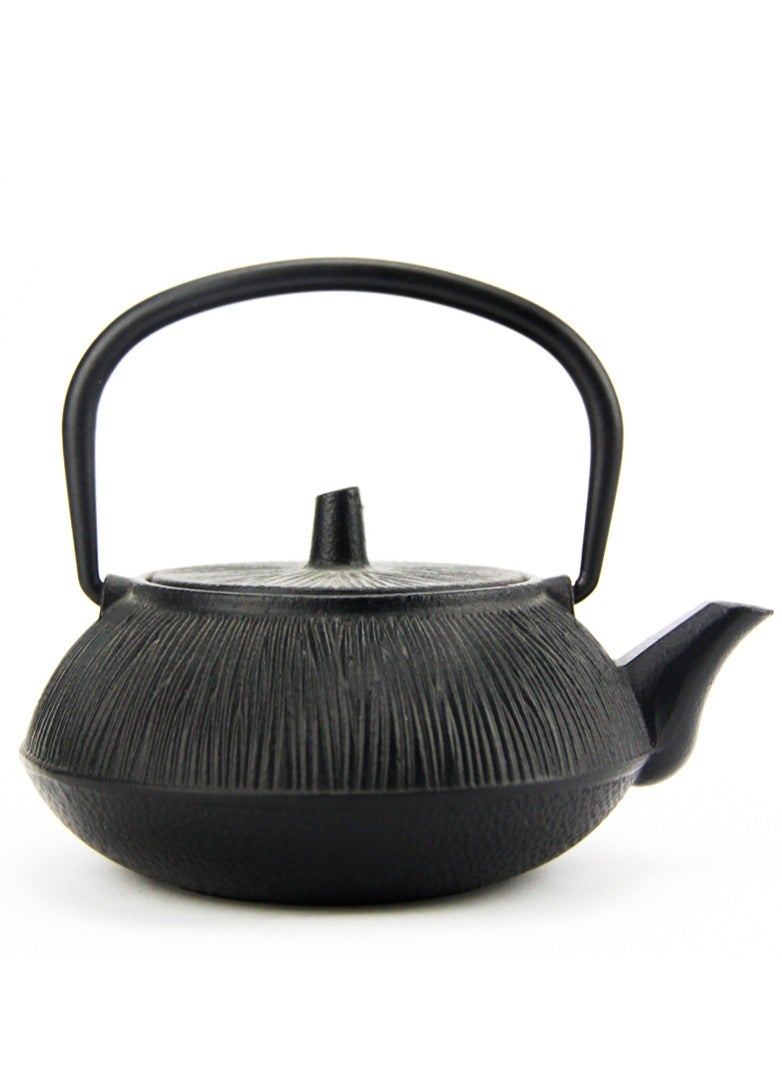 Durable Coated with Enamel Interior Cast Iron Teapot with Stainless Steel Infuser for Brewing Loose Tea Leaf 0.5 Liter Black