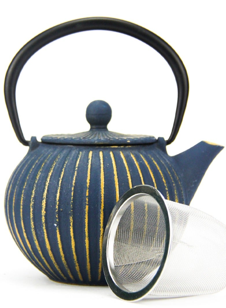 Durable Coated with Enamel Interior Cast Iron Teapot with Stainless Steel Infuser for Brewing Loose Tea Leaf 0.5 Liter Blue