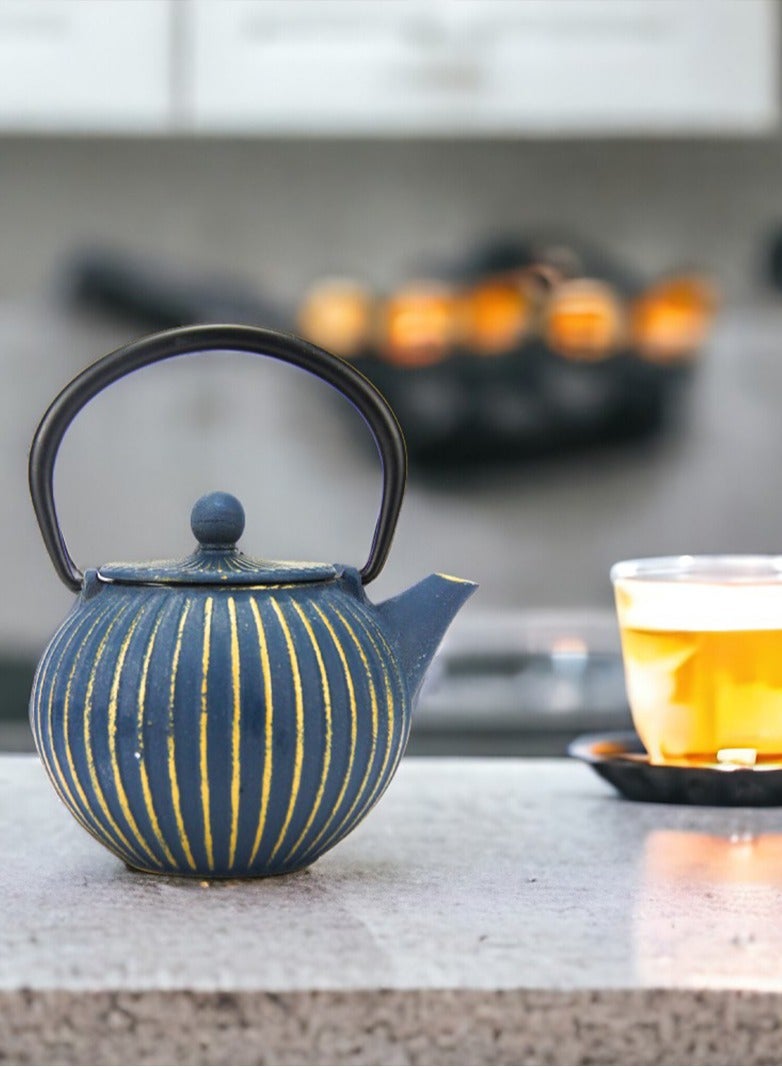 Durable Coated with Enamel Interior Cast Iron Teapot with Stainless Steel Infuser for Brewing Loose Tea Leaf 0.5 Liter Blue