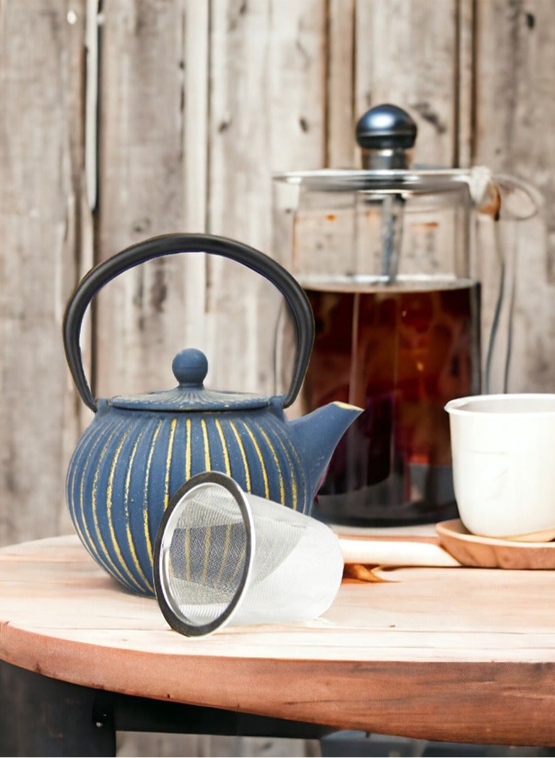 Durable Coated with Enamel Interior Cast Iron Teapot with Stainless Steel Infuser for Brewing Loose Tea Leaf 0.5 Liter Blue