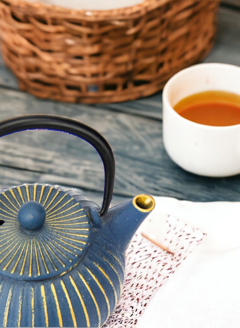 Durable Coated with Enamel Interior Cast Iron Teapot with Stainless Steel Infuser for Brewing Loose Tea Leaf 0.5 Liter Blue