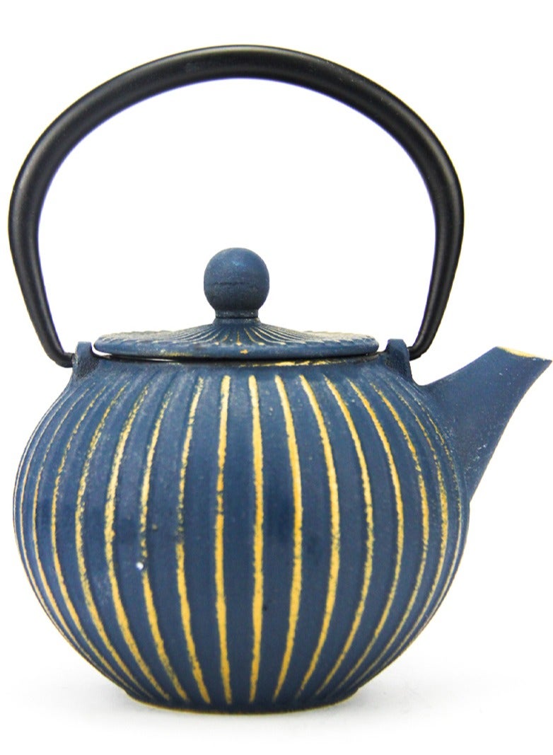 Durable Coated with Enamel Interior Cast Iron Teapot with Stainless Steel Infuser for Brewing Loose Tea Leaf 0.5 Liter Blue