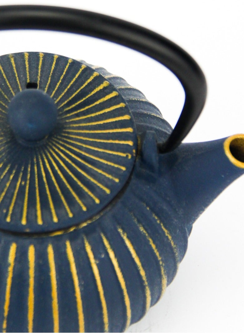Durable Coated with Enamel Interior Cast Iron Teapot with Stainless Steel Infuser for Brewing Loose Tea Leaf 0.5 Liter Blue