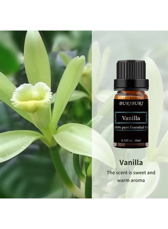 Vanilla Essential Oil, 100% Pure, Undiluted, Natural Aromatherapy Vanilla Oil Essential Oil for Diffuser, Massage (Vanilla)