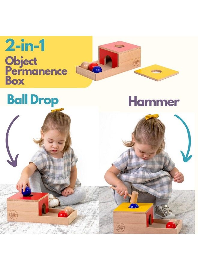 Montessori Toys For 1 Year Old Wooden Object Permanence Box Coin Drop Color And Shape Sorter Top ; Baby Toys 12 18 Months 1St Birthday Gifts Boy Girl Learning Toys For 1+ Year Old