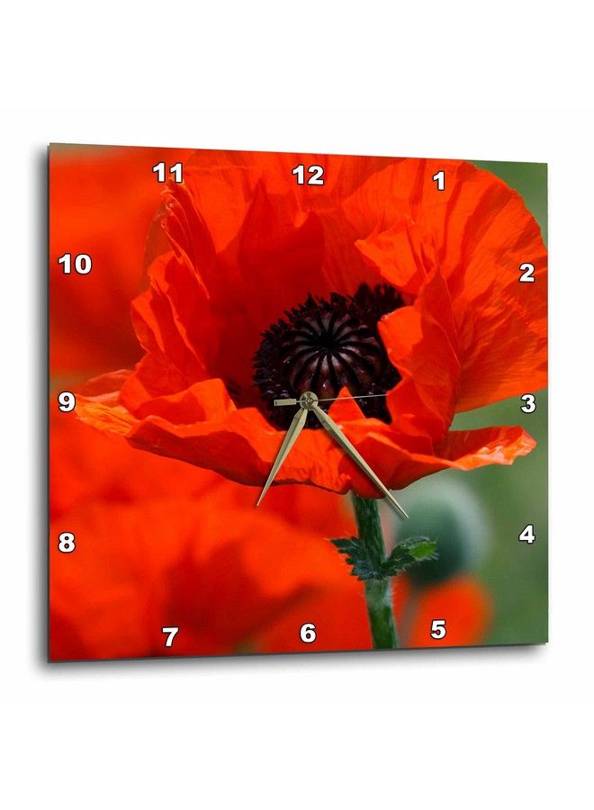 Dpp_29205_1 Beautiful Red Poppywall Clock 10 By 10Inch