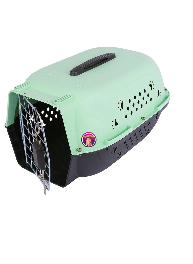 Pet carrier, travel crate for cats and small dogs, outdoor and travel kennel, cage for cats and dogs. Green color.